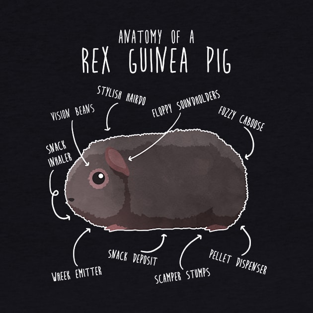 Rex Guinea Pig Anatomy by Psitta